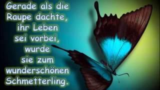 Weisheiten von Elmar Rassi