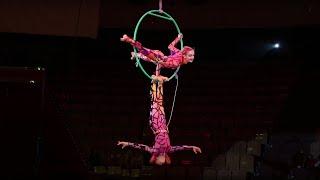 Circus studio "Smile" - "Tsakheylou". Aerial gymnastics on the  ring, duet.