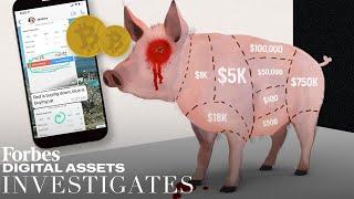 Investigating "Pig Butchering": Crypto's New Long-Game Financial Con  | Forbes Digital Assets