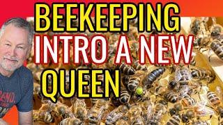 Beekeeping | Secret To Introducing A New Queen To The Hive