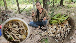 แกงเห็ดปลวก// ແກງເຫັດປວກໃສ່ຜັກຕິ້ວ