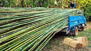 How to Processing Millions Bamboos to Product - Straws, Bamboo Houses, Plywood, Chopstick Factory