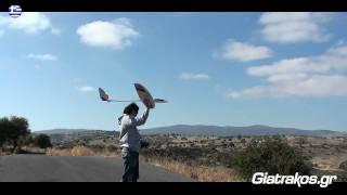 Raptor 2000 Glider Giatrakos.gr