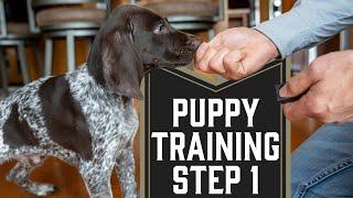 First Step To Training A Puppy