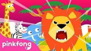 Hakuna Matata More and More | Dance Along Compilation | Let's Dance Together | Pinkfong Official