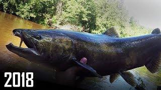 Late Summer King Salmon Fishing in Michigan - Catch and Cook