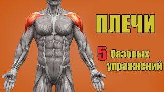 ПЛЕЧИ. 5 БАЗОВЫХ УПРАЖНЕНИЙ. + ОШИБКИ УБИВАЮЩИЕ ПРОГРЕСС!