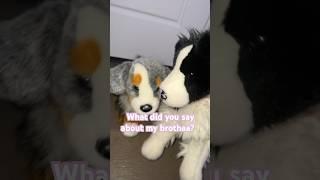 What did u say bout my brothaa? #disney #essa #dog #stuffedanimals