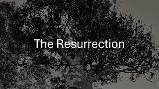 The Resurrection - Christine McPherson