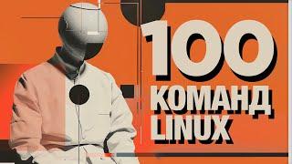 100 команд Linux. Это база! Дарим 3 лучшие книги по Linux подписчикам!