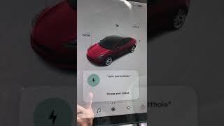 Tesla Butthole Easter Egg #Shorts