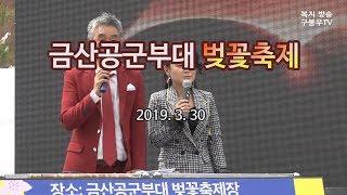 금산공군부대 벚꽃축제 구봉우TV