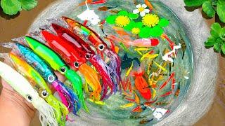 Amazing Catch Aquarium Fish In Colorful Surprise Egg, Squid, Shrimp, Turtle, Koi, Zebrafish, Guppies