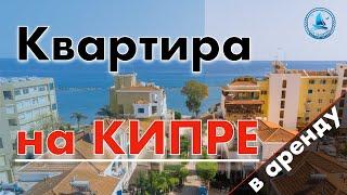 Квартира в краткосрочную аренду. Лимассол Кипр.