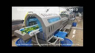 New ozone vegetable washing machinery salad lettuce processing equipment kitchen food machine