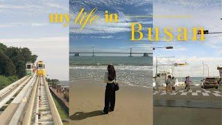 busan vlog : zm-illenial, gwangalli & haeundae , blueline sky capsule, busan x the sky, yacht 