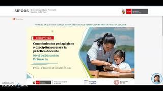 CURSO VIRTUAL:CONOCIMIENTOS PEDAGÓGICOS Y DISCIPLINARES PARA LA PRACTICA DOCENTE NIVEL PRIMARIA