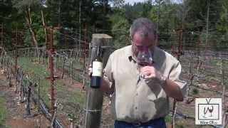 Watch Water Witch Marc Mondavi Turn Water into Wine - Wine Oh TV