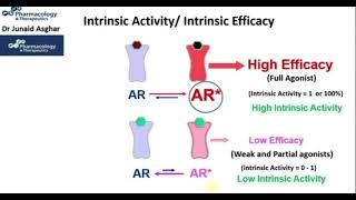 Full Agonist | Partial Agonist | Inverse Agonist || Junaid Asghar PhD