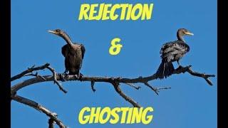 REJECTION AND GHOSTING