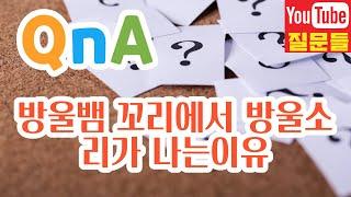 방울뱀 꼬리에서 방울소리가 나는이유