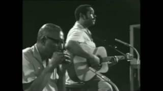 Sonny Terry & Brownie McGhee  - Born with the blues  Live 1967