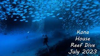 Scuba Diving Kona's "House Reef" Honokohau Harbor (Crescent / 'Alula Beach) July 2023