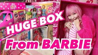 I RECEIVED A HUGE PINK BOX from BARBIE  BARBIE HAUL 2019