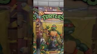 Toy hunt Burlington Teenage Mutant Ninja Turtles classic collection