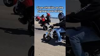 Groms can wheelie #wheelie #stunt #shorts #shortsviral #shortsvideo