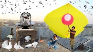 Kite Flying & Buy New Kabooter Nasir