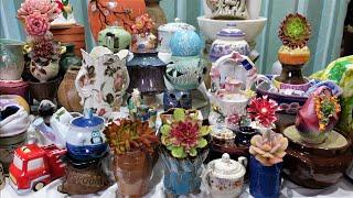 Beautiful SUCCULENT POTS Show & Tell | Growing Succulents with LizK