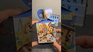 Paw Patrol Mystery Box Part 18 #pawpatrol #surprise #asmrtoys #unboxingtoys #toys #cutetoys