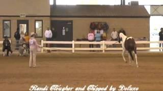 randi and tag yearling longe line oct 2010.avi