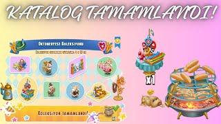 KATALOG TAMAMLANDI, HAY DAY UMİT UYKU