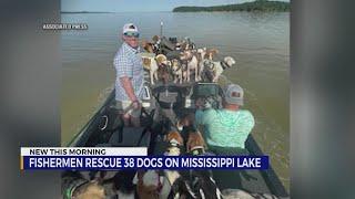 Fishermen rescue 38 dogs on Mississippi lake