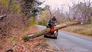 Salvaging and Sawing a Cherry Tree Topped by the Power Company