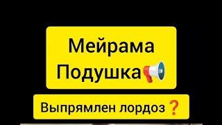 Подушка Мейрама. какая польза лечение грыж и протрузий