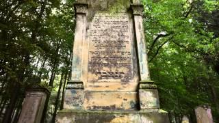 Lost Place Forgotten Jewish Cemetery Bleicherode Germany Vergessener Jüdischer Friedhof im Wald