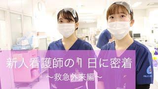 新人看護師の１日に密着（救急外来）