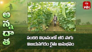 Ridge gourd giving good yeilds on pendals – by vizianagaram farmer | ETV