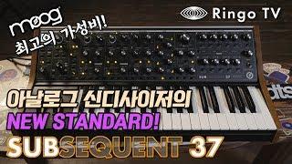 [Ringo TV]아날로그 신스의 New Standard가 될 Moog Subsequent 37 리뷰! 가성비 실화일까..?