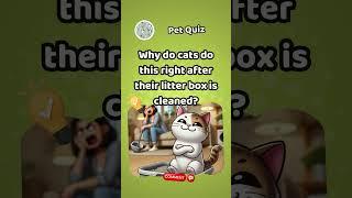 Quirk&Punch Quiz #4: Why Do Cats Always Mess Up a Clean Litter Box?  #PetHumor #FunnyQuiz #Shorts