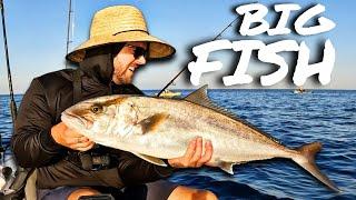 21 Minutes of Catching BIG FISH From My Kayak Offshore and Inshore | Navarre/Pensacola Kayak Fishing