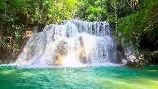 Waterfalls In Deep Forest at Huai Mae Waterfall 4k. Waterfall, White Noise, Nature Sounds to Sleep.