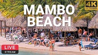 LionsDive Beach Resort | Mambo Beach | Curaçao  PTZ 4K LIVE CAM