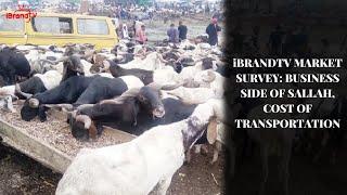 iBRANDTV MARKET SURVEY: BUSINESS SIDE OF SALLAH, COST OF TRANSPORTATION