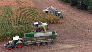 Mais 2024 : 2X Claas Jaguar 980 | Jeromin agrar | Fendt | John Deere | Claas | Trucks | Maisernte 4K