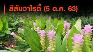 สีสันวาไรตี้ (5 ต.ค. 63)