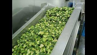 New Equipment for Frozen Broccoli Production